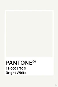 pantone 1100 txx bright white